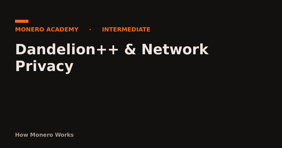Dandelion++ & Network Privacy