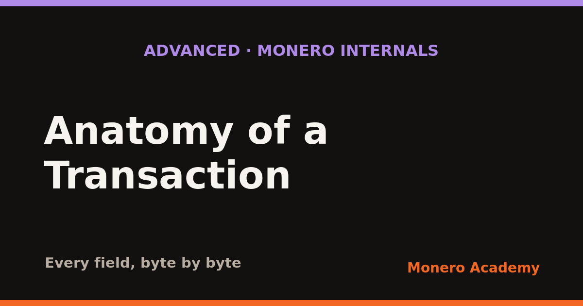 Anatomy of a Monero Transaction