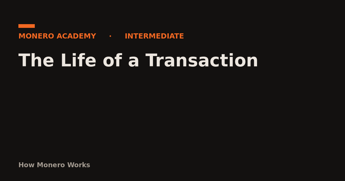 The Life of a Transaction